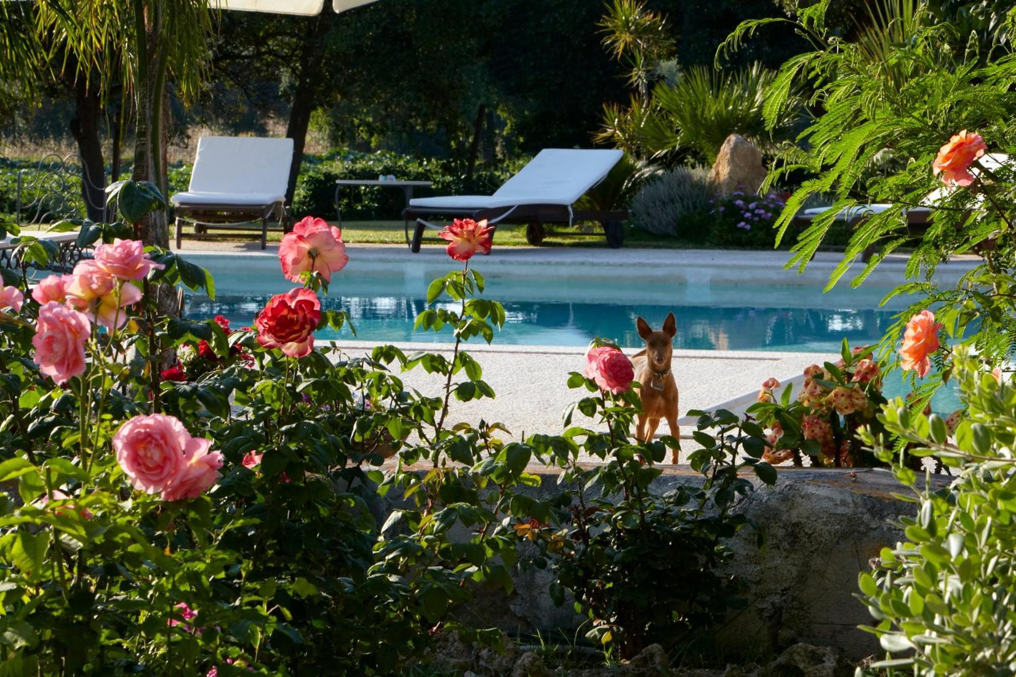 Baglio Sant'Andrea Bed & Breakfast Valderice Exterior foto